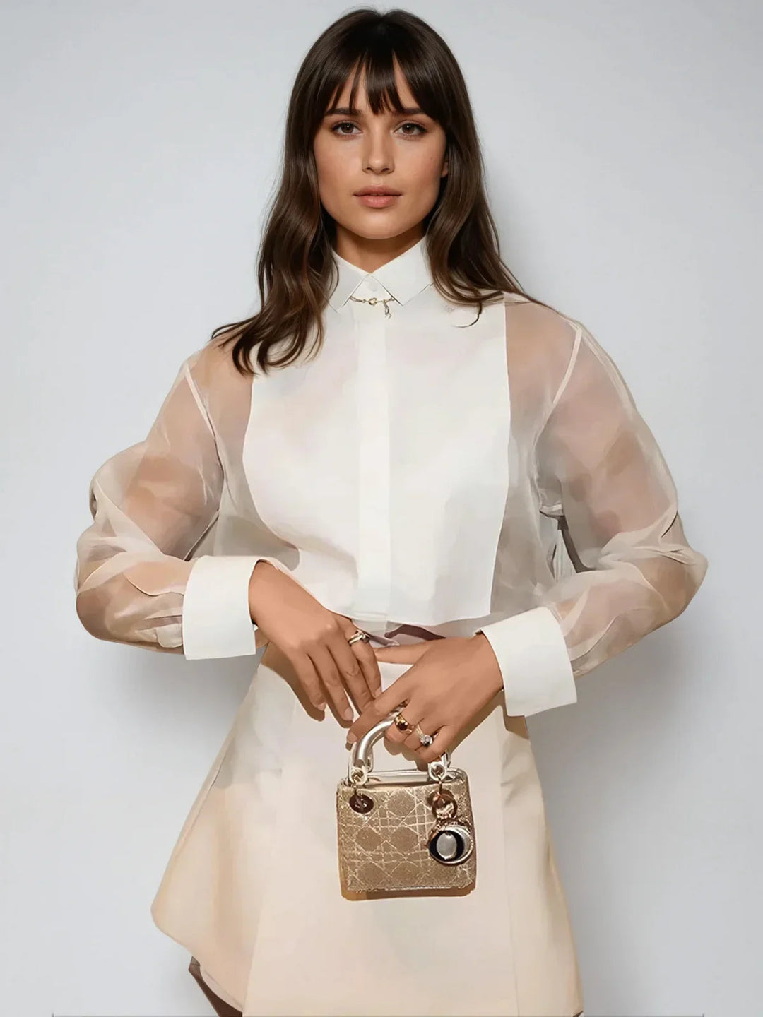Puff Sleeve Lapel Organza Transparent Top
