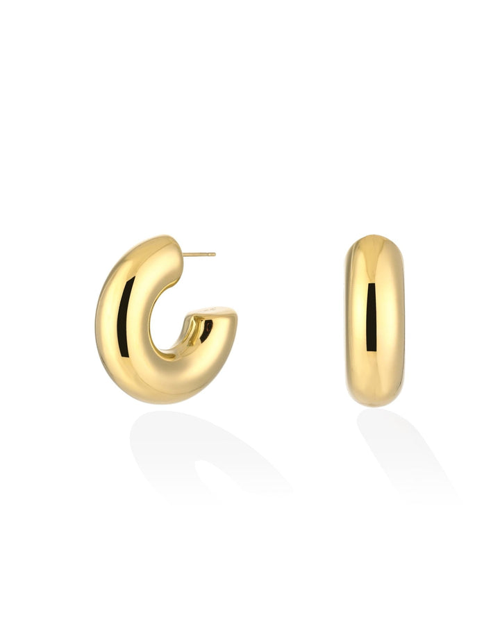 Golden Wide Open - Earrings
